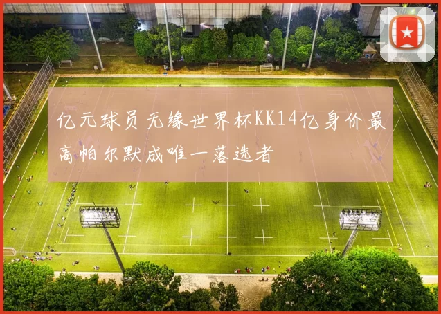 亿元球员无缘世界杯KK14亿身价最高帕尔默成唯一落选者
