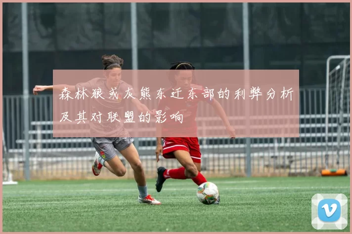 森林狼或灰熊东迁东部的利弊分析及其对联盟的影响